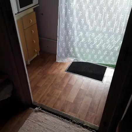 Chatka žabka2 *