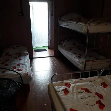 Chatka žabka2 *